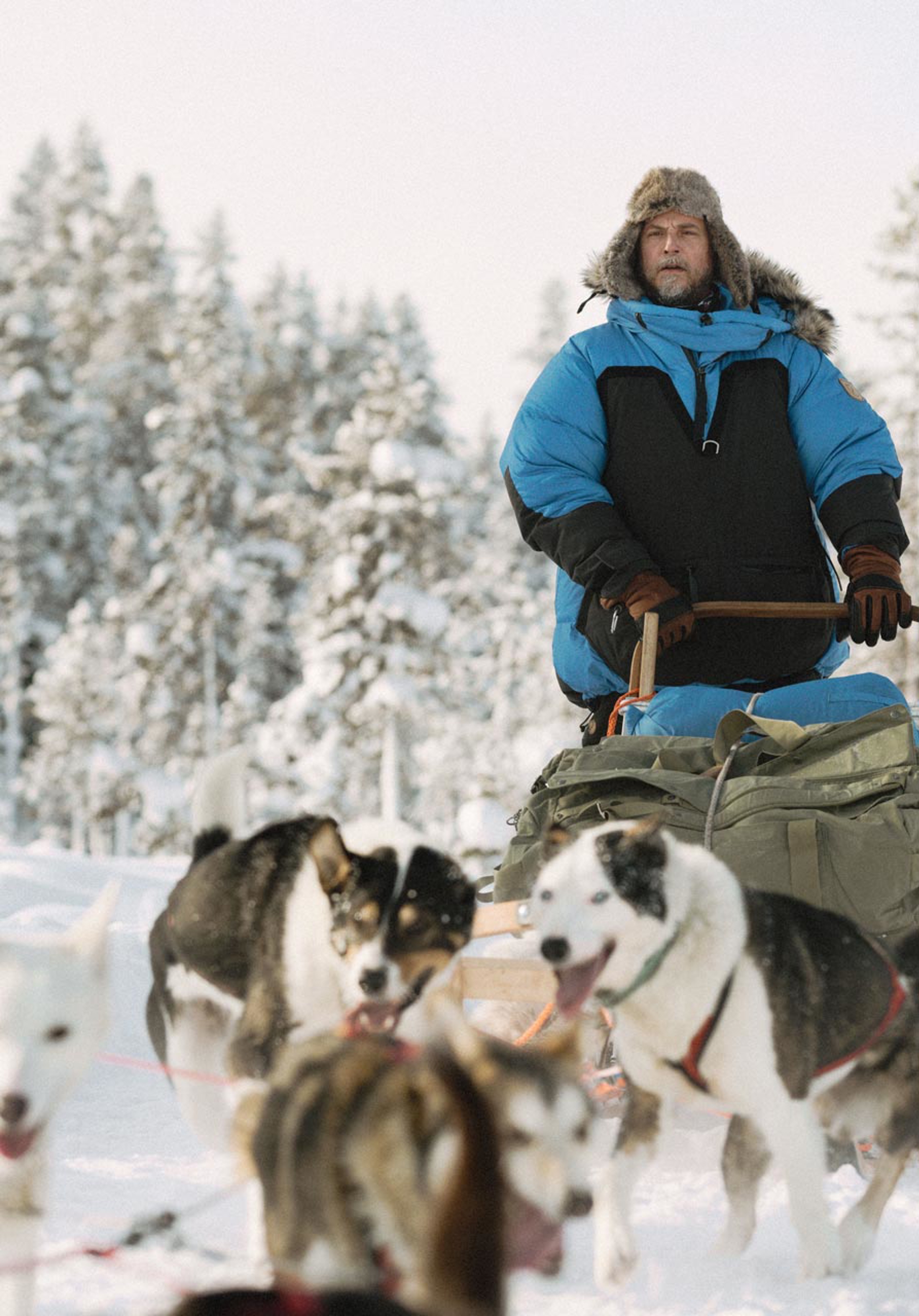 man wearing a polar parka on a dog sled